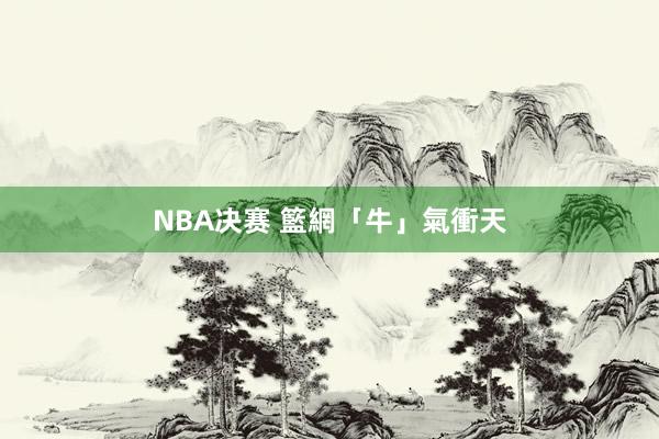 NBA决赛 籃網「牛」氣衝天