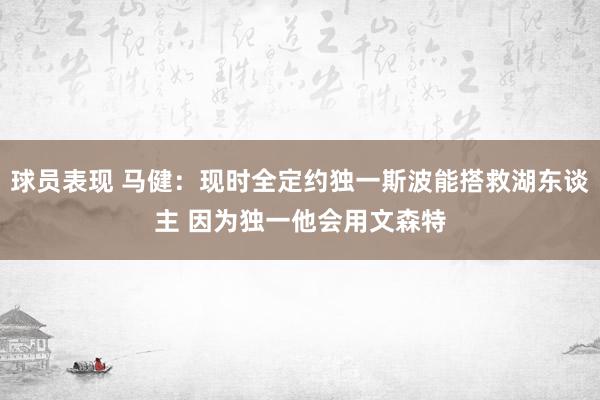 球员表现 马健：现时全定约独一斯波能搭救湖东谈主 因为独一他会用文森特