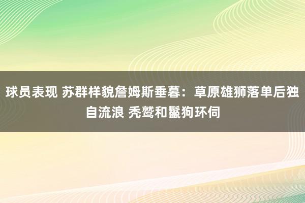 球员表现 苏群样貌詹姆斯垂暮：草原雄狮落单后独自流浪 秃鹫和鬣狗环伺