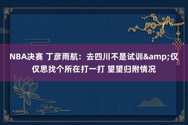 NBA决赛 丁彦雨航：去四川不是试训&仅仅思找个所在打一打 望望归附情况