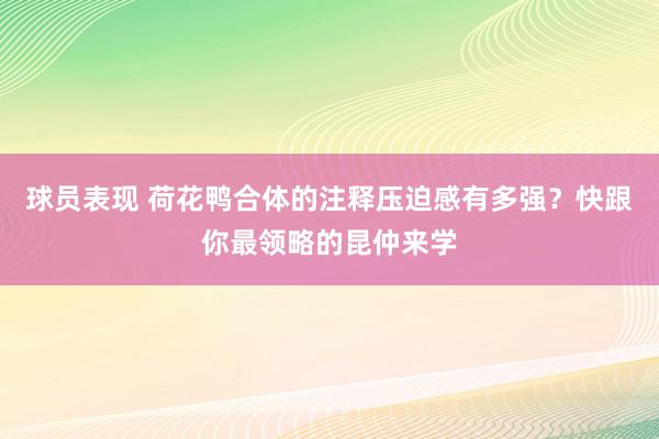 球员表现 荷花鸭合体的注释压迫感有多强？快跟你最领略的昆仲来学